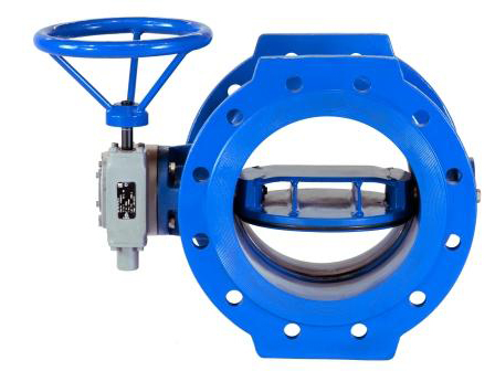 butterfly valve with biplane disc