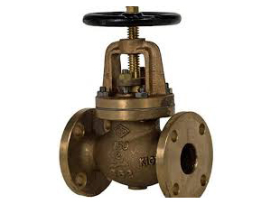 Globe valve (Aluminum Nickel Bronze)