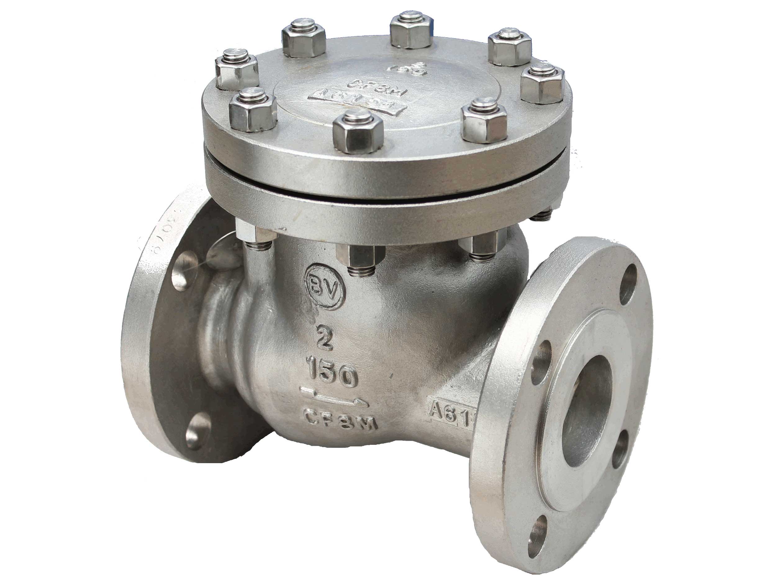 Stainless Steel Flanged swing check valve