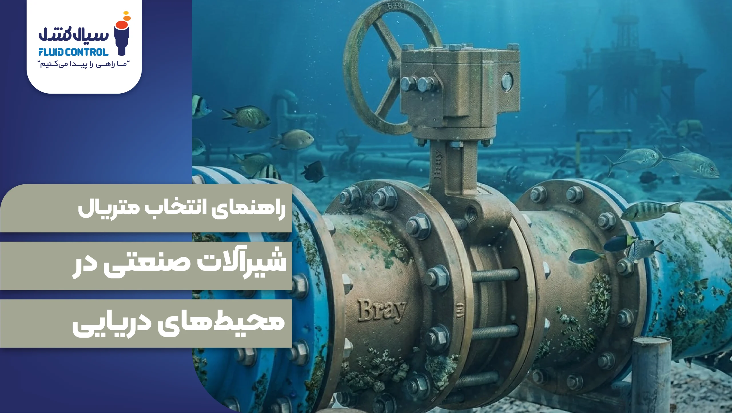 شیرآلات در محیط‌ های دریایی